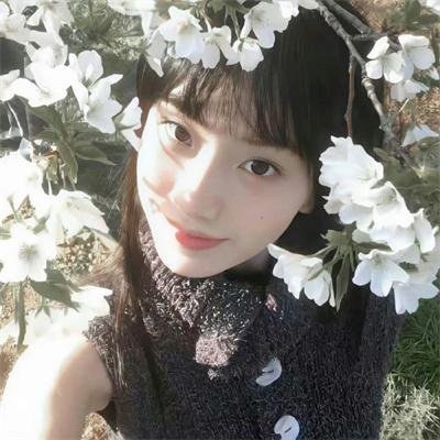 蛮荒林区